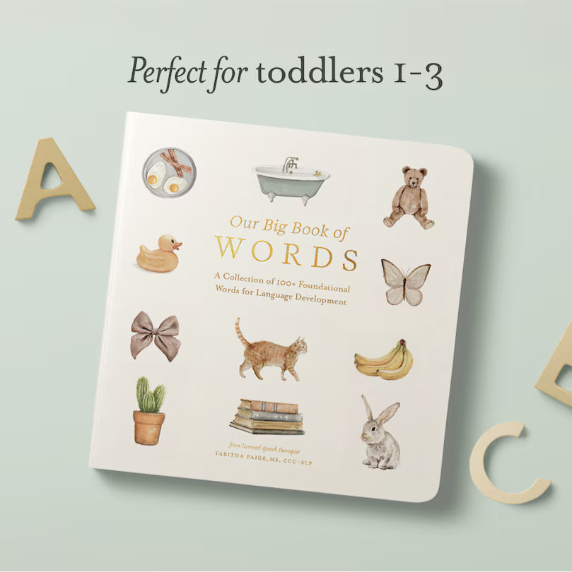 Our Big Book of First Words: A Collection of 100+ Foundational Words f ...